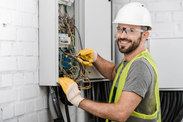 Best Electrical System Inspection  in Sheboygan Falls, WI
