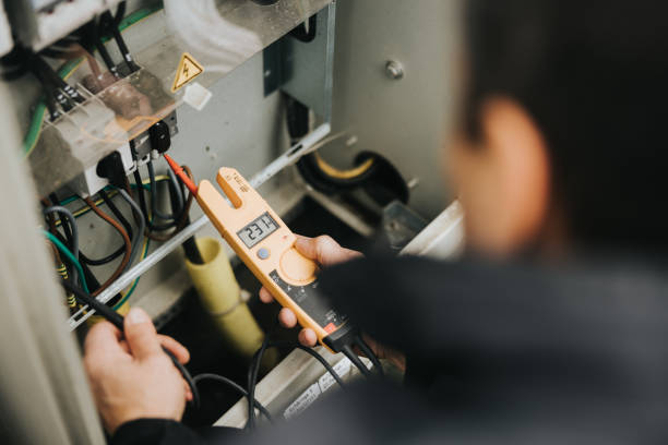Best Local Electrician Companies  in Sheboygan Falls, WI