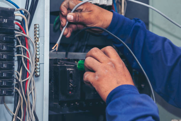 Best Electrical Repair Services  in Sheboygan Falls, WI