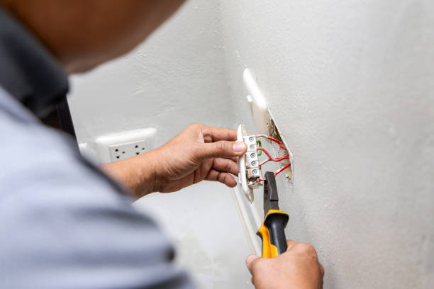 Best Affordable Electrician  in Sheboygan Falls, WI